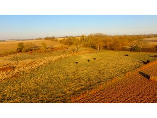 Property photo 46 - LAND AUCTION - 664+/- ACRES OFFERED IN 17 TRACTS IN CASS CO., NEBRASKA